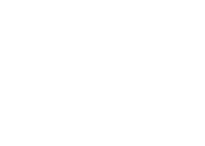 Sociedade Brasileira de Cirurgia do Joelho